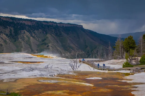 Vue latérale de la source des Canaries et des terrasses dans la région de Mammoth Hot Spring du parc national Yellowstone — Photo