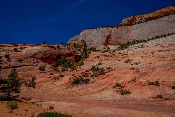 Detailní záběr na horské krajiny v údolí v Zion National Park, Utah — Stock fotografie