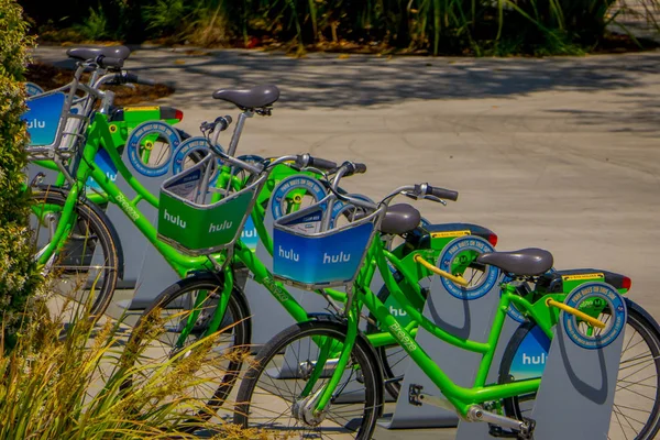 Los Angeles, Kalifornien, Usa, juni 15, 2018: Utomhus utsikt över gröna cyklar parkerade på utsidan på Venice Beach i Santa Monica, populära inhemska invånare för avkoppling och sport — Stockfoto