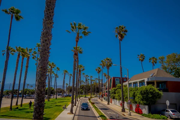 ロサンゼルス、カリフォルニア、アメリカ、2018 年 8 月 20 日: ロサンゼルス、カリフォルニア州で人気のあるベニス ビーチ自転車道に沿って晴れた青い空とヤシの木屋外観 — ストック写真