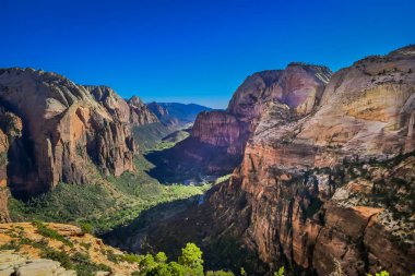 Ünlü melekler doğal Zion Canyon yaz, mavi gökyüzü ile güzel bir güneşli gün bakan Zion National Park, Springdale, güneybatı Utah açılış, panoramik manzaralı