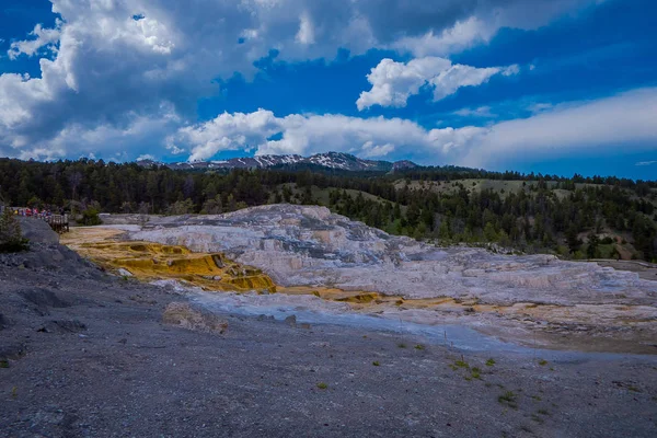 Vielfältige Thermalfarben der Thermalquellen - Mammut-Thermalquellen sind das einzige große Thermalgebiet von Yellowstone, das sich weit außerhalb der Caldera befindet. die Terrassen verändern sich ständig, manchmal spürbar innerhalb eines Tages — Stockfoto