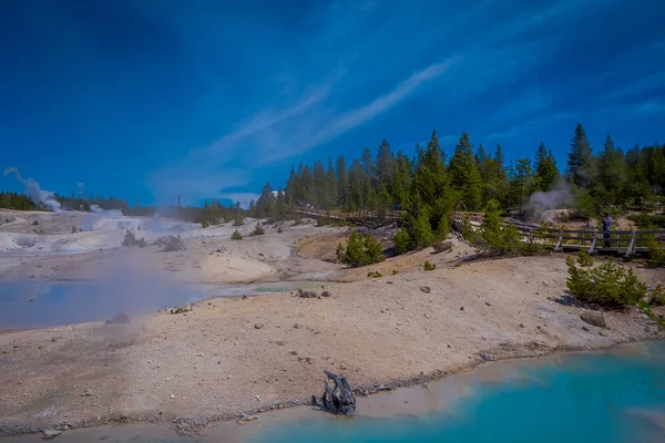 Piscinas de agua colorida salpican el paisaje de la cuenca de Norris Geyser en el Parque Nacional de Yellowstone . — Foto de Stock
