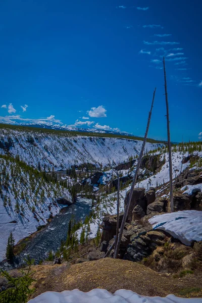 Lower Falls, la cascade la plus populaire de Yellowstone, se trouve à la tête du Grand Canyon dans la rivière Yellowstone. Les rochers jaunes ont donné le nom de Yellowstone National Park, Wyoming — Photo