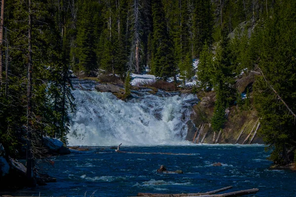 Außenansicht Des Kleinen Wasserfalls Fluss Yellowstone Nationalpark Umgebung Von Kiefern — Stockfoto