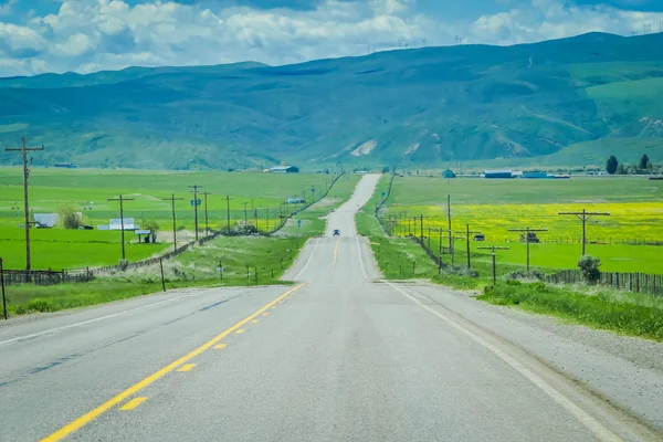 Ασφαλτοστρωμένος Δρόμος Στις Yellowstone National Park Ουαϊόμινγκ Ηνωμένες Πολιτείες Ανάμεσα — Φωτογραφία Αρχείου