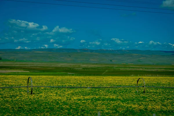 A rét és a zöld fű, a víz öntözés a gazdaságban, a Yellowstone Nemzeti Parkban található szabadtéri megtekintése — Stock Fotó