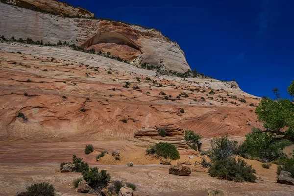 Zbliżenie z górskiej scenerii w dolinie w stanie Utah Park Narodowy Zion — Zdjęcie stockowe