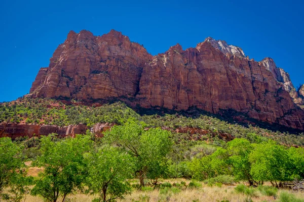 Beautiful outdoor view of huge mountains in Zion National Park, Utah, USA — Stock Photo, Image