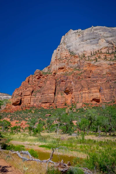 Grzbiet spacerem w pięknej scenerii w Parku Narodowego Zion wzdłuż szlaku Angels Landing, Turystyka w Zion Canyon, Utah — Zdjęcie stockowe