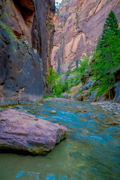 Den smalnar och Virgin River i Zion National Park ligger i sydvästra av USA, nära Springdale, Utah — Stockfoto