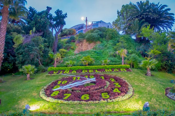 VINA DEL MAR, CHILE - SEPTEMBER, 15, 2018: Outdoor view of flower clock in Vina del Mar, is one of the most populat touristic destinations in Chile — Stock Photo, Image