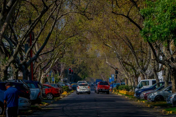 SANTIAGO, CHILI - 13 SEPTEMBRE 2018 : Vue extérieure de certaines voitures qui attendent dans les feux de circulation et circulent dans les rues entourant les arbres de chaque côté du trottoir à Santiago — Photo
