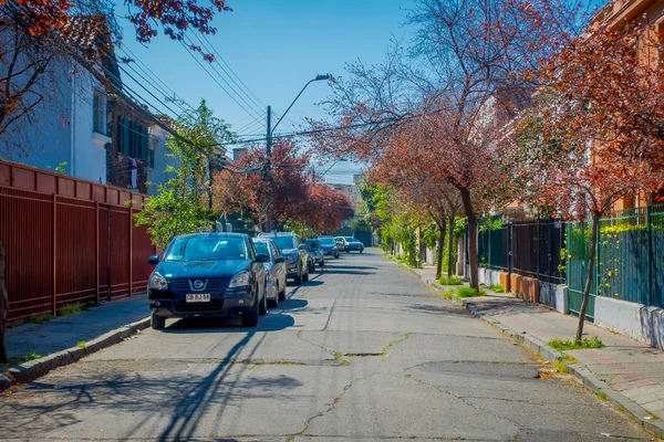 SANTIAGO, CHILE - 13 DE SEPTIEMBRE DE 2018: Vista exterior de algunos coches que circulan por las calles con una luz de tráfico de saludo, rodeados de árboles a cada lado de la acera en Santiago — Foto de Stock