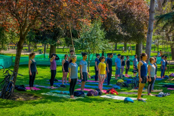 SANTIAGO, CHILE - 17 DE SEPTIEMBRE DE 2018: Grupo de personas no identificadas haciendo Yoga y relajándose en el parque Yungay ubicado en el Barrio Yungay en Santiago, capital de Chile —  Fotos de Stock