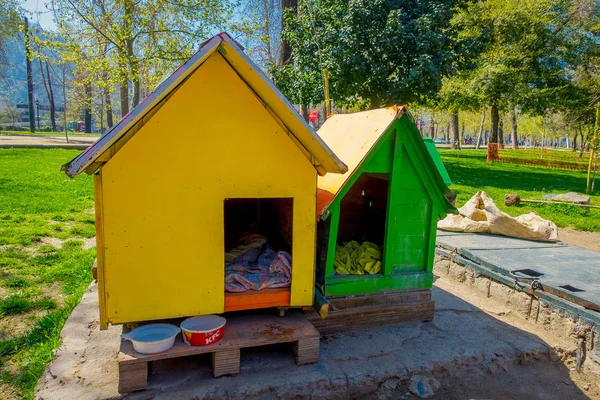 SANTIAGO, CHILE - SETEMBRO 17, 2018: Vista ao ar livre de dois cães de madeira casas amarelas e verdes no parque Forestal localizado em Santiago, capital do Chile — Fotografia de Stock