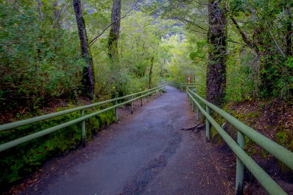 Όμορφο μονοπάτι μέσα στο δάσος με μεταλλικές περιφράξεις σε κάθε πλευρά, για την προστασία των τουριστών από κάθε κίνδυνο στην Σάλτος ντε Petrohue, Χιλή — Φωτογραφία Αρχείου