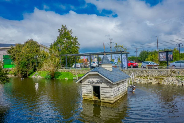 PUERTO VARAS, CHILE, 23 DE SEPTIEMBRE DE 2018: Vista exterior de patos en estanque artificial cerca de una pequeña casa de madera ubicada en el parque de la ciudad de Puerto Varas — Foto de Stock