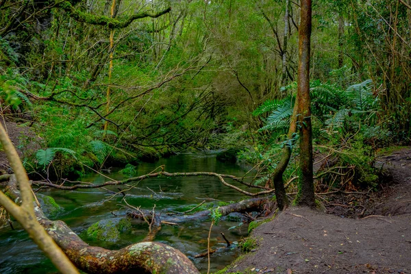 Piękne jasne creek, znajduje się w Petrohué, otaczających roślinności w Llanquihue prowincji w regionie Los Lagos — Zdjęcie stockowe