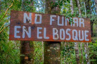 Pucon, Şili - 23 Eylül 2018: Pucon Şili recreative yerde ormanda Sigara İçilmez ahşap bilgilendirici işaret kapat