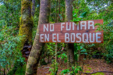 Pucon, Şili - 23 Eylül 2018: Pucon Şili recreative yerde ormanda Sigara İçilmez ahşap bilgilendirici işaret kapat