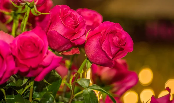 Закрыть селективный фокус деталей лепестков красивой розовой розы — стоковое фото