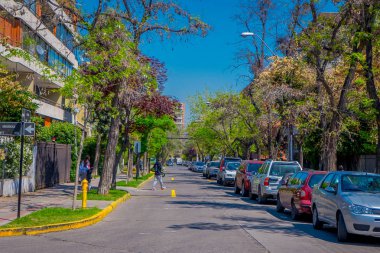 Santiago, Şili - 13 Eylül 2018: Santiago adlı muhteşem güzel güneşli gün boyunca bitkilerle çevrili bir ekolojik Caddesi altında Caddesi'nin bir yanında park etmiş arabaların açık görünüm