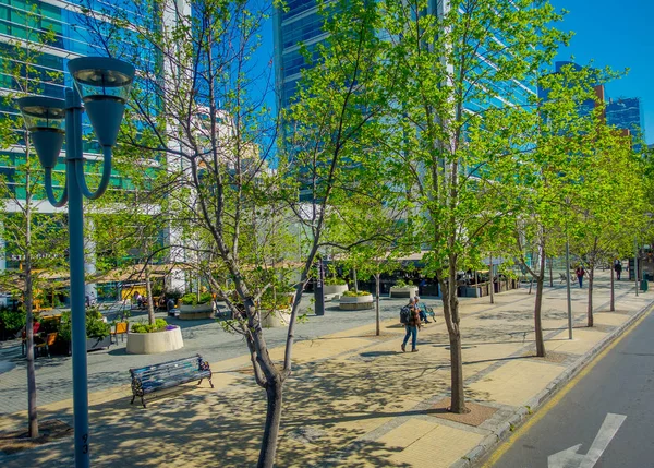 SANTIAGO, CHILI - 16 OCTOBRE 2018 : Vue extérieure du magnifique quartier des bâtiments du centre financier de Las Condes avec quelques plantes sur le trottoir — Photo