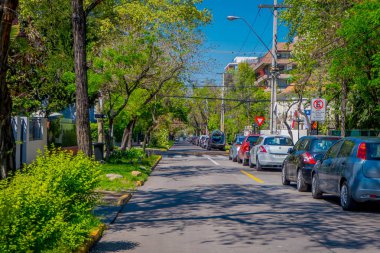 Santiago, Şili - 13 Eylül 2018: Santiago adlı muhteşem güzel güneşli gün boyunca bitkilerle çevrili bir ekolojik Caddesi altında Caddesi'nin bir yanında park etmiş arabaların açık görünüm