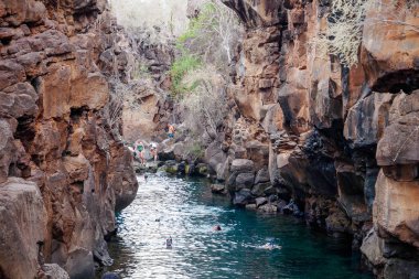 Puerto Ayora, Galapagos, Ekvator - 25 Kasım 2018: Santa Cruz Adası Galapagos'Las Grietas yüzme turistler. Popüler turistik yer