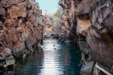 Puerto Ayora, Galapagos, Ekvator - 25 Kasım 2018: Santa Cruz Adası Galapagos'Las Grietas yüzme turistler. Popüler turistik yer