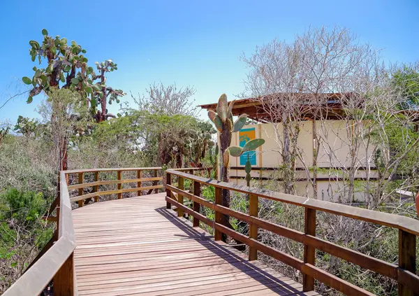 Schöner Holzweg auf der Insel Isabela auf den Galapagos-Inseln — Stockfoto