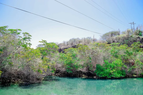 Laguna de las Ninfas, a saltwater lagoon in the town of Puerto Ayora, on Santa Cruz island in the Galapagos Islands. — Stock Photo, Image