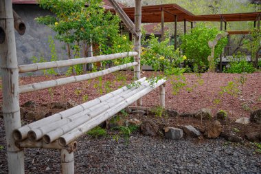 Ecoloical bambu sandalye Galapagos Adaları, Güney Amerika, Ekvator bir yedekte bulunan açık görünüm.