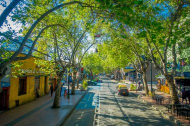 Santiago, Şili - 13 Eylül 2018: Chile Santiago muhteşem güzel güneşli gün boyunca bitkilerle çevrili bir ekolojik Caddesi altında bir yanında park etmiş arabalar