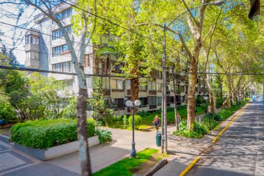 Santiago, Şili - 13 Eylül 2018: Santiago adlı muhteşem güzel güneşli gün boyunca bitkilerle çevrili bir ekolojik Caddesi altında Caddesi'nin bir yanında park etmiş arabaların açık görünüm