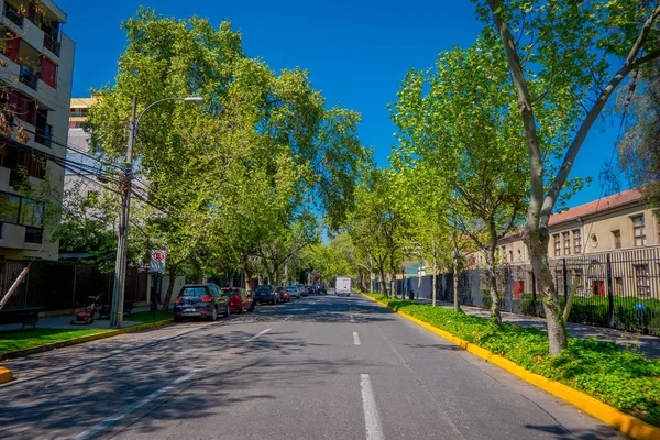 Santiago, Chile - 13 September 2018: Utomhus utsikt över stenad trottoaren under en ekologisk gata omgiven av växter på Santiago — Stockfoto
