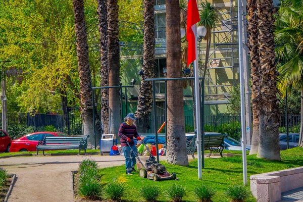 SANTIAGO DE CHILE, CHILI - 16 OCTOBRE 2018 : Vue extérieure d'un jeune jardinier coupant l'herbe d'un parc à l'aide d'une machine, situé dans la ville de Santiago du Chili — Photo