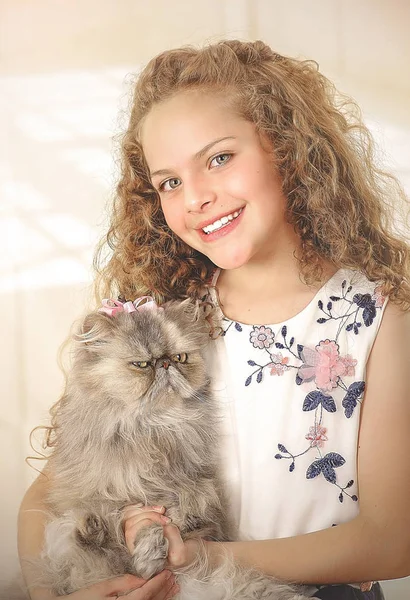 Portrait of beautiful smiling little curly girl hugging her cat — Stock Photo, Image