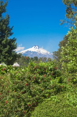 Pucon merkezi Şili'de mavi bir gökyüzü güneşli bir günde
