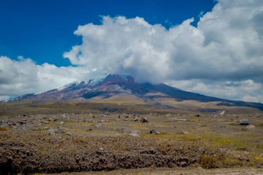 Ekvador Cotopaxi Milli Parkı, bir yaz sabahı.