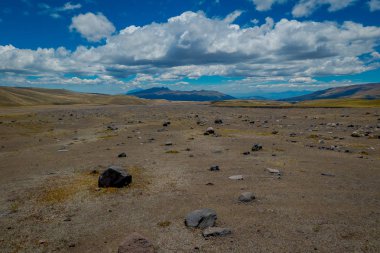 Ekvador Cotopaxi Milli Parkı, bir yaz sabahı.