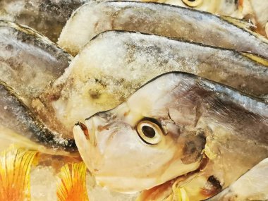 Pazarda taze balık. Yakın çekim.. 