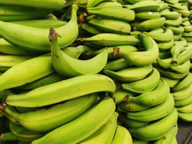 Plantain. Ürettikleri meyve genellikle yemek pişirmek için kullanılır.