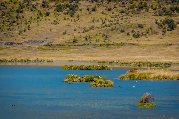 Ufer des Sees limpiopungo im Nationalpark Cotopaxi, Ecuador an einem sonnigen und windigen Tag — Stockfoto