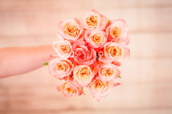 Women hand holding a bouquet of peach Shimmer roses variety, studio shot.