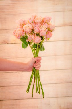 Kadınlar ellerinde bir buket Sahra Sansasyon gülleri çeşidi, stüdyo çekimi, pembe çiçekler.