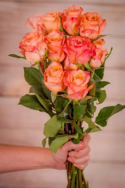 Donne mano in possesso di un mazzo di pesca varietà di rose Shimmer, colpo in studio . — Foto Stock