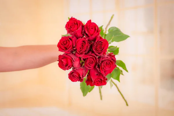 Mulheres mão segurando um buquê de variedade de rosas Hot Spot, tiro estúdio . — Fotografia de Stock