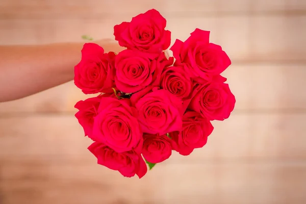 Mano de las mujeres sosteniendo un ramo de rosas Explorer clásico variedad, tiro de estudio . — Foto de Stock